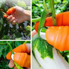 🔥PickMeister™ | Multifunctional thumb knife | BUNDLE DISCOUNT TODAY! - Male / Buy 1 get 1 free
