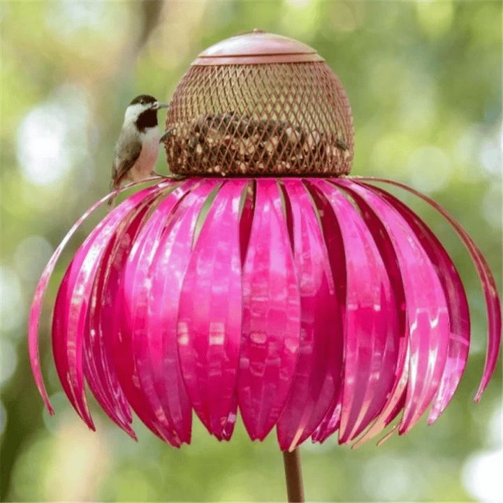 VogelFreude™ | Echinacea bird feeder | 1+1 FREE TODAY! - Garden - Pink