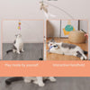 VivaVeder™ | Interactive cat toy natural bird feather | 50% OFF TODAY! - White