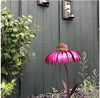 VogelFreude™ | Echinacea bird feeder | 1+1 FREE TODAY! - Garden - Pink