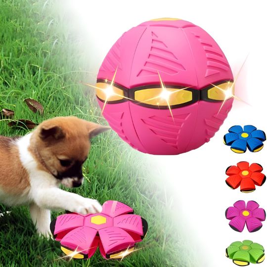Doggy Disc Ball - Pink