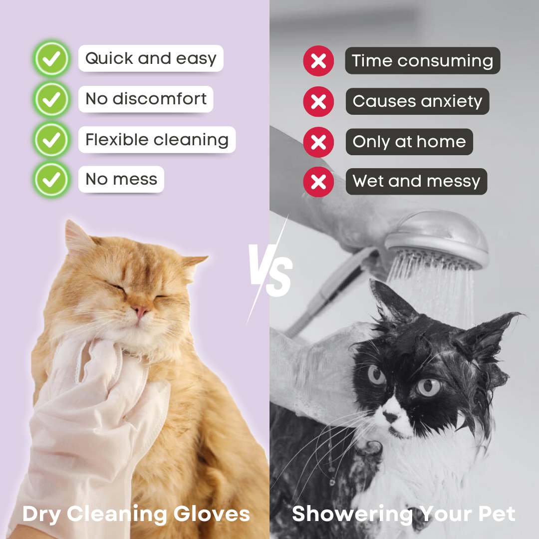 Pet cleaning gloves (6 pieces) | SUPER BUNDLE DISCOUNT TODAY! - 1+1 FREE (12 pieces)