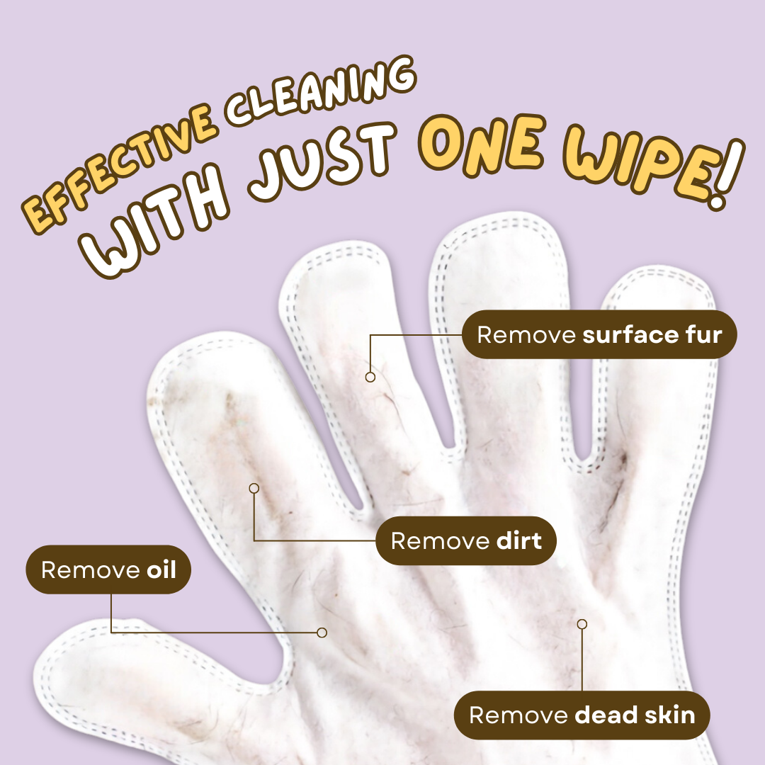 Pet cleaning gloves (6 pieces) | SUPER BUNDLE DISCOUNT TODAY! - 1+1 FREE (12 pieces)