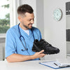 Wilan | Dynamic Design Sports Shoes for Men