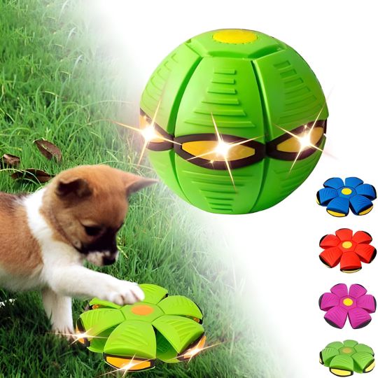 Doggy Disc Ball - Green