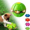 Doggy Disc Ball - Green