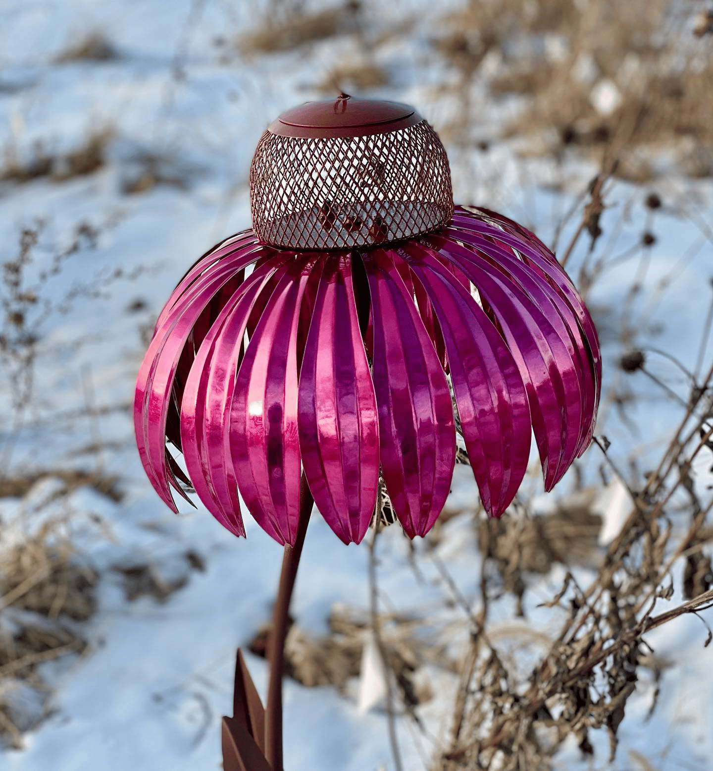 VogelFreude™ | Echinacea bird feeder | 1+1 FREE TODAY! - Garden - Pink