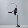 VivaVeder™ | Interactive cat toy natural bird feather | 50% OFF TODAY! - Black