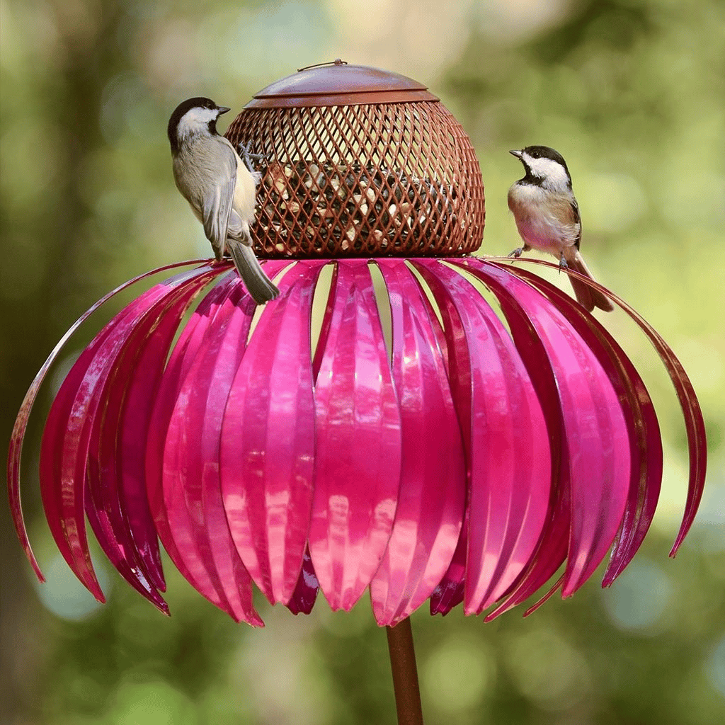 VogelFreude™ | Echinacea bird feeder | 1+1 FREE TODAY! - Garden - Pink